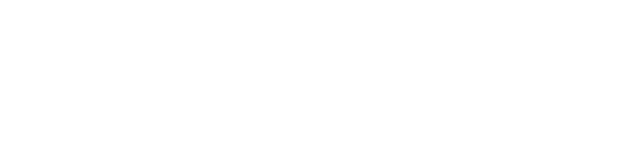 Liaison Systems Ltd Logo